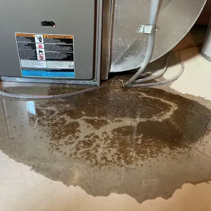 Appliance Leak Cleanup in Waterman, IL